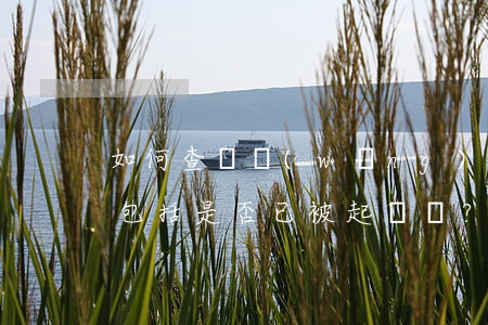 如何查詢網(wǎng)貸逾期及記錄信息，包括是否已被起訴？